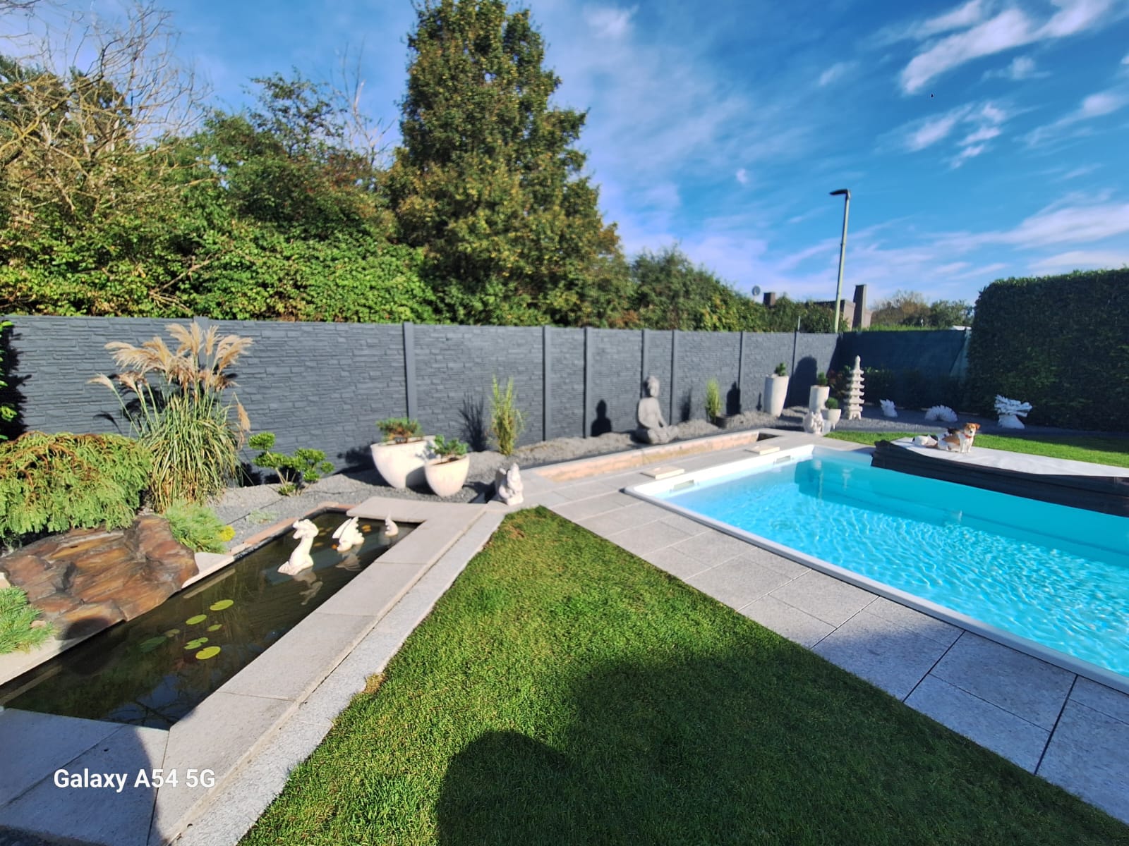 6fe5e53f-8c76-4aa2-ab63-2eee718f480a